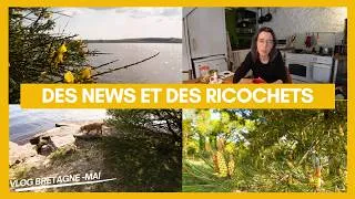 Miniature : Des nouvelles depuis nos monts d'Arrée