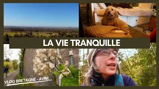 Miniature : Les états d'âme de Laska - Une vie dans les monts d'Arrée