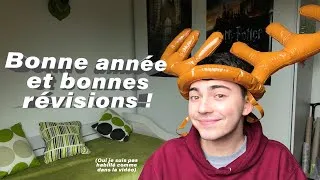 Miniature : Bonne année et bonnes révisions !