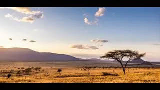 Miniature : L'Afrique sub-saharienne