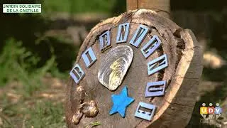 Miniature : À la découverte du Jardin solidaire de la Castille