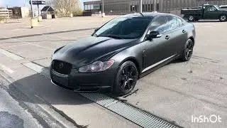Miniature : jaguar Black satin Noir Mat  wrap satin