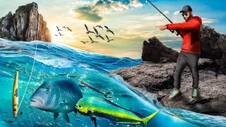 Miniature : PÊCHE en SHORE JIGGING : À la recherche des prédateurs méditerranéens