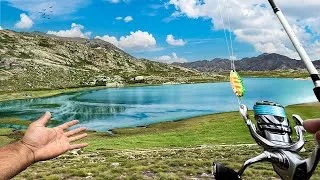 Miniature : PÊCHE en HAUTE MONTAGNE : À la recherche des TRUITES SAUVAGES !