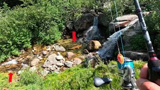 Miniature : PÊCHE en HAUTE MONTAGNE : SAUMONS de FONTAINE & TRUITES dans ce PETIT RUISSEAU !