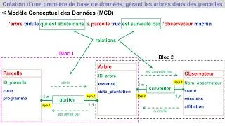 Miniature : Construire une Base de Donnée - Etape 1 : du Brainstorming au MCD