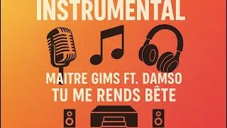 Miniature : Maître Gims ft. Damso – Tu me rends bête (Instrumental)