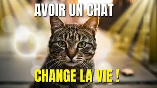 Miniature : La science le dit : avoir un chat change votre vie et votre cerveau !