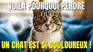 Miniature : La science explique pourquoi la perte d'un chat est si douloureuse !