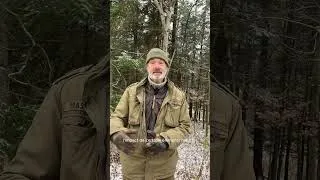 Miniature : Les différences entre bain de forêt, sylvothérapie, parcours (Re)Connexion Nature et Shinrin yoku 