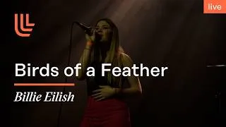 Miniature : 🎶🎸Aero Campus Tour 4e Édition : Birds of a Feather de Billie Eilish🎙️🎵
