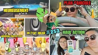Miniature : 🆅︎🅻︎🅾︎🅶︎#254- PLAN CANICULE 🌡 ÇA  FAIT PARLER🤨 ❙ BAC FINI ❙ HAUL ACTION🛍