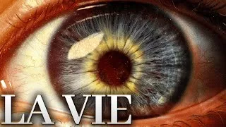 Miniature : LA VIE.