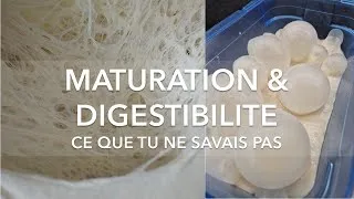 Miniature : LA MATURATION REND LA PÂTE PLUS DIGESTE ?