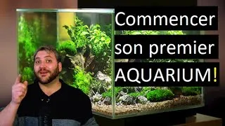 Miniature : FACILE! Comment démarrer son premier aquarium (L' ABC) Des poissons heureux!