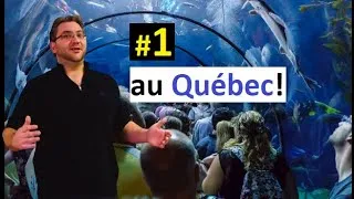 Miniature : L' aquarium du QUÉBEC! (WOW) Une visite à ne pas manquer!