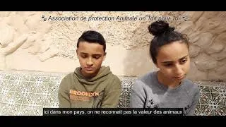 Miniature : Témoignages des enfants de Djerba après le massacre des chiens.