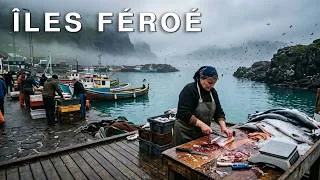 Miniature : La Vie aux Îles Féroé | La Vie Quotidienne au Bout du Monde | Documentaire de Voyage 4K