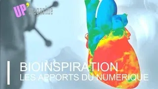 Miniature : Biomimétisme  Dassault Systèmes