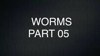Miniature : WORMS 05