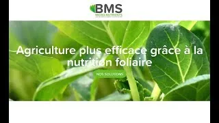 Miniature : BMS Ecomethod la méthode de fertilisation foliaire