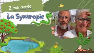 Miniature : Syntropie, le Retour