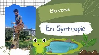 Miniature : La Syntropie avec Corentin