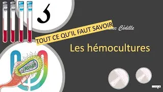 Miniature : Urgences - la lecon avec cedille - Les hémocultures 🦠🧫