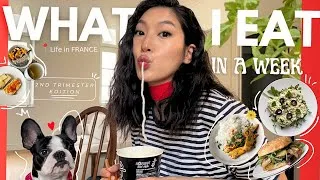 Miniature : What I Eat In A Week🌻 | Preggo edition 2nd trimester🐣🐢 | simple home cooked meals ❤️