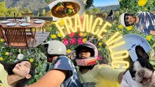 Miniature : France vlog🇫🇷 Road trip crossing 3 regions,  Chablis village yummy Boeuf Bourguignon, Electric Moto🌻
