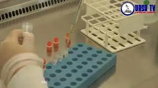 Miniature : LES HÉROS SILENCIEUX DE LA SANTÉ ENFIN MIS EN LUMIÈRE 