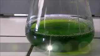 Miniature : L'expérience de la bouteille multicolore
