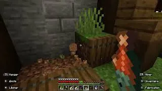 Miniature : Minecraft la nostalgie 🎮👀🤯 (Vidéo 7)