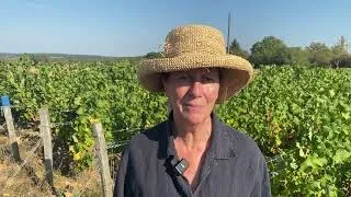 Miniature : 🍇 Journée de Cohésion des Espoirs
