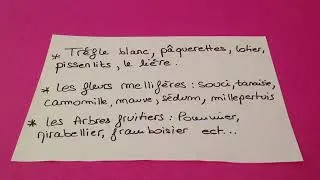 Miniature : Attirer des abeilles au jardin - Astuces apiculture