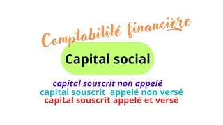 Miniature : Comptabilisation du capital التقييد المحاسبي لرأس المال