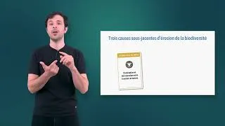 Miniature : Extrait de "L'évaluation IPBES (2025) sur les changements transformateurs"