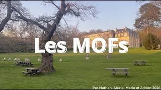 Miniature : Les MOFs