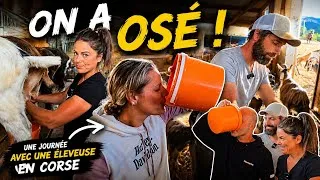 Miniature : La traite à 5h du matin !!!