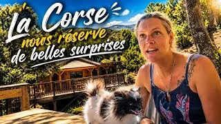 Miniature : MOTO EN FAMILLE !!! Corse ?? Paradis ?? 