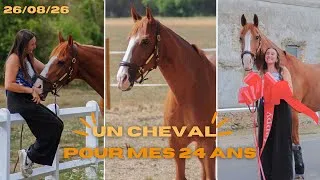 Miniature : ❥ Un cheval pour mes 24 ans: Bienvenue à la maison mon Pipou 🧡