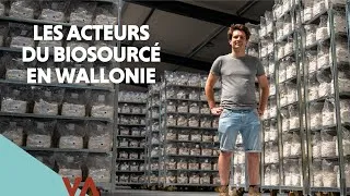 Miniature : Eclo : cultiver l'excellence fongique en économie circulaire