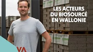 Miniature : IsoHemp : isoler durablement grâce au chanvre