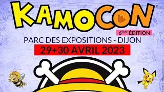 Miniature : Retours des Achats vide grenier et Kamo con 2023