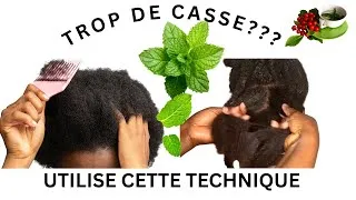 Miniature : CHEVEUX NATURELS PLUS FORTS : Pourquoi démêler aux doigts change tout