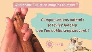 Miniature : Le levier humain que l’on oublie trop souvent !  Relation homme-animal de compagnie