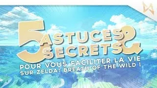 Miniature : Zelda Breath of Wild FR (Switch) - 5 TRUCS, ASTUCES ET SECRETS !!