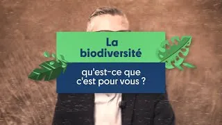 Miniature : Qu'est ce que la biodiversité ?