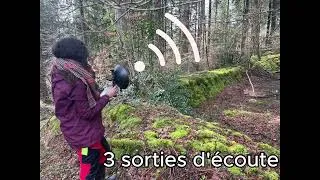 Miniature : Réhabilitation et valorisation des pesquiers de la Réserve Biologique Dirigée de Martinou