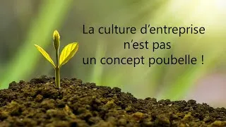 Miniature : La culture d'entreprise n'est pas un concept poubelle
